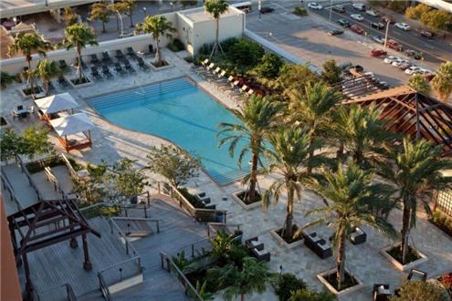 Rooftop Pool Rooftop Pool