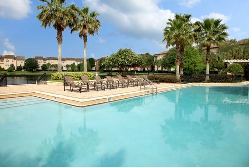 Gorgeous Pool Gorgeous Pool