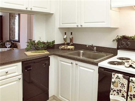Great Kitchen Great Kitchen