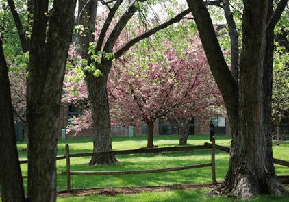 Beautifully maintained landscape Beautifully maintained landscape