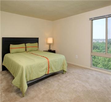 Large bedroom with wooded view
