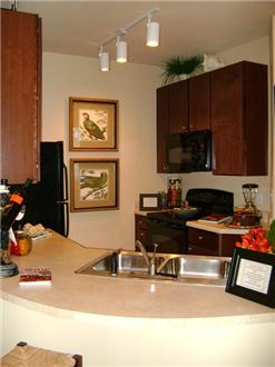 Kitchen Area Kitchen Area
