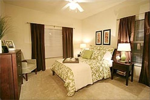 Large bedroom with 2 beautiful windows Large bedroom with 2 beautiful windows