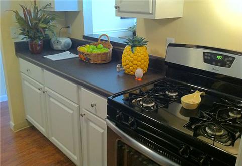 Lots of counter space in kitchen Lots of counter space in kitchen