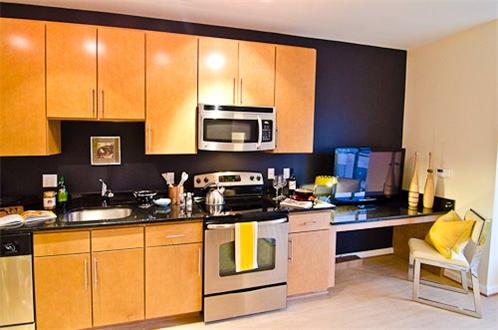 Ultra Modern Kitchen