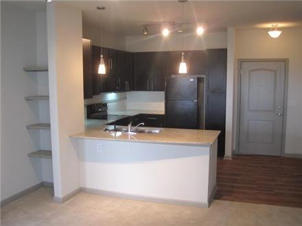 Open kitchens and living areas with built in shelving Open kitchens and living areas with built in shelving