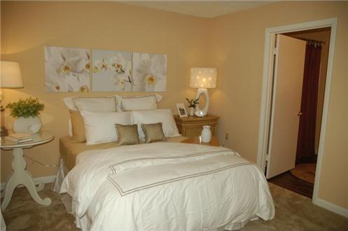 Bedroom Bedroom