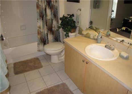 Bathroom Bathroom
