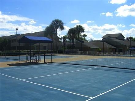Tennis Pool Tennis Pool