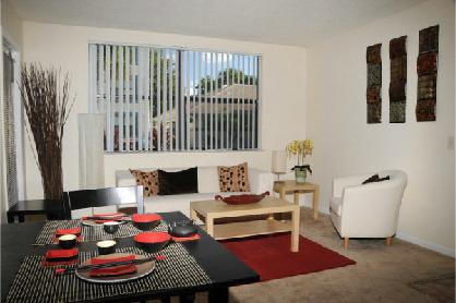 Spacious living room and dining area Spacious living room and dining area