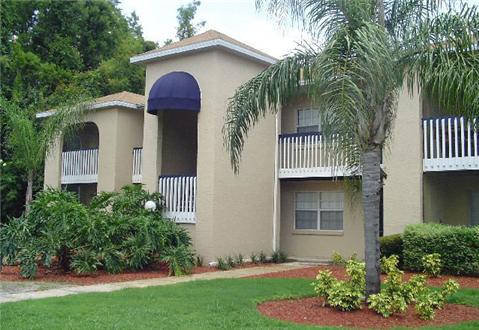 Luscious tropical landscaping Luscious tropical landscaping