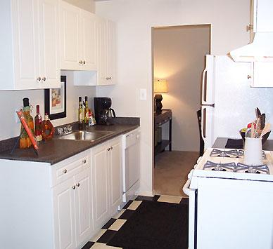 Kitchen Kitchen