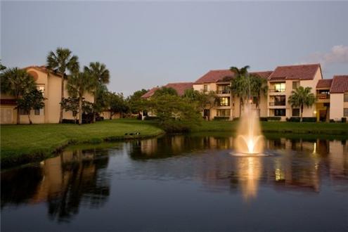 Beautiful lake view Beautiful lake view
