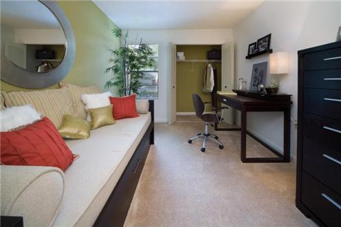 Spare Room Spare Room