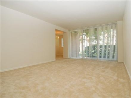 Large living room with patio and den Large living room with patio and den