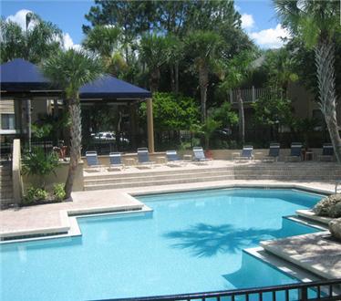 Sparkling pool and sundeck Sparkling pool and sundeck