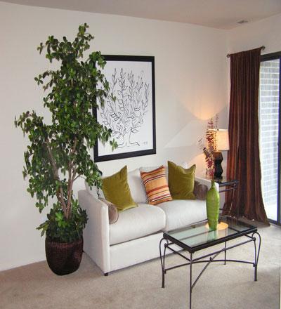 Living Area Living Area