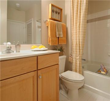 Beautiful bathroom