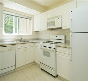 Open kitchen with lots of natural sunlight Open kitchen with lots of natural sunlight