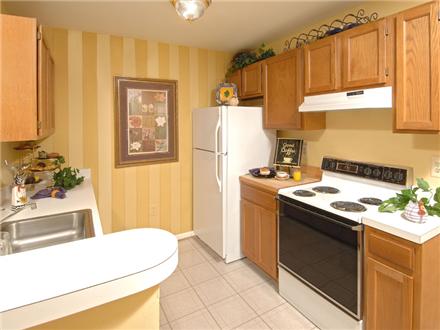 Kitchen Kitchen