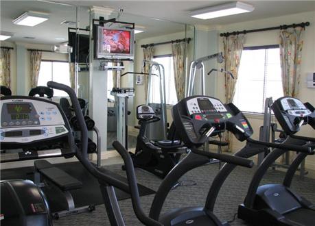 Cardio Equipment Cardio Equipment