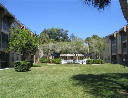 Courtyard Courtyard